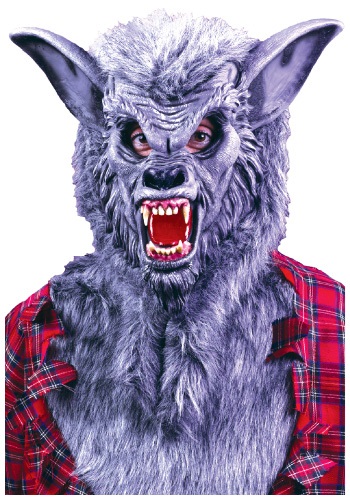 Grey Werewolf Mask -image