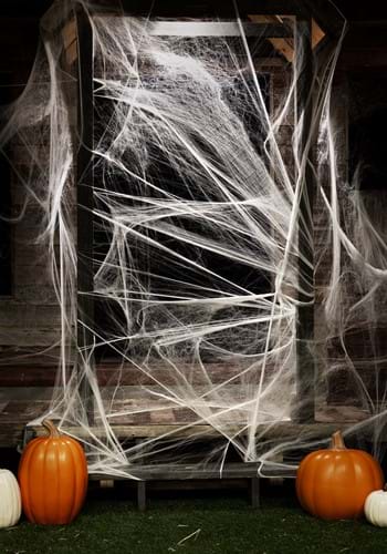Spider Web Decoration -image