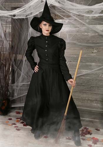 Deluxe Wicked Witch Costume -image