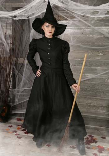 Womens Deluxe Witch Costume