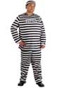 Plus Size Mens Prisoner Costume