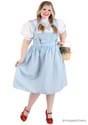 Adult Plus Size Dorothy Costume