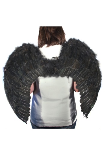Black Feather Angel Wings -image