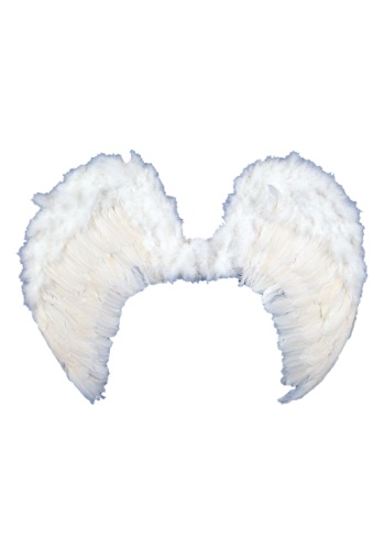 Feather Angel Wings