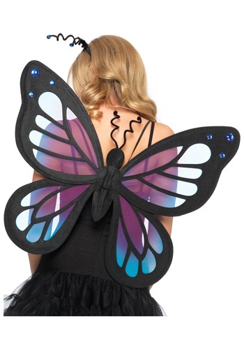 unknown Butterfly Wings