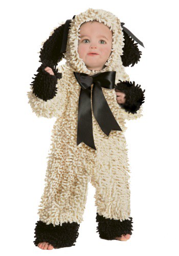 unknown Toddler Wooly Lamb