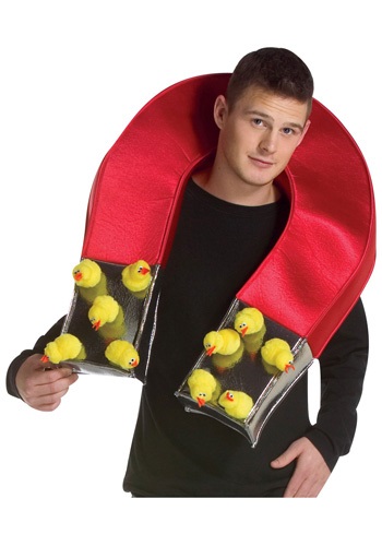 unknown Chick Magnet Costume