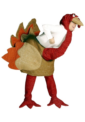 Turkey Costume -image