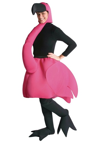 Flamingo Costume -image