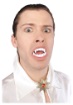 White Vampire Fangs