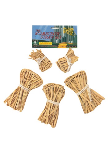 Five-Piece Scarecrow Straw Kit -image