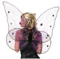 Purple Butterfly Wings