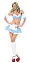 Super Sexy Dorothy Costume
