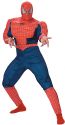Adult Deluxe Spiderman Costume