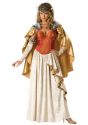 Viking Goddess Costume