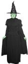 Wicked Witch of the West Costume