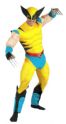 Wolverine Costume