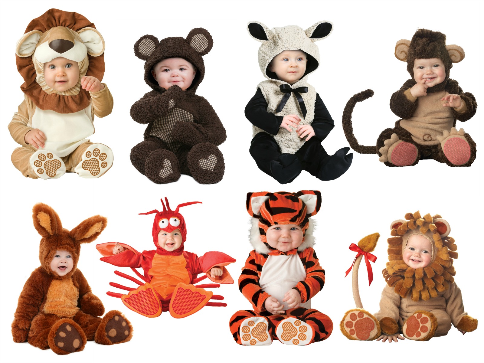 Baby Animals In Costumes