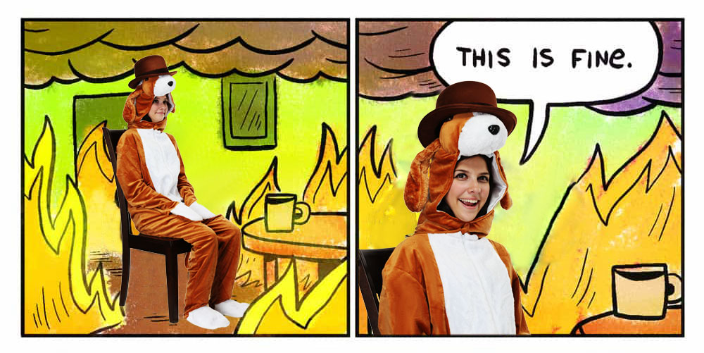 this is fine meme plush