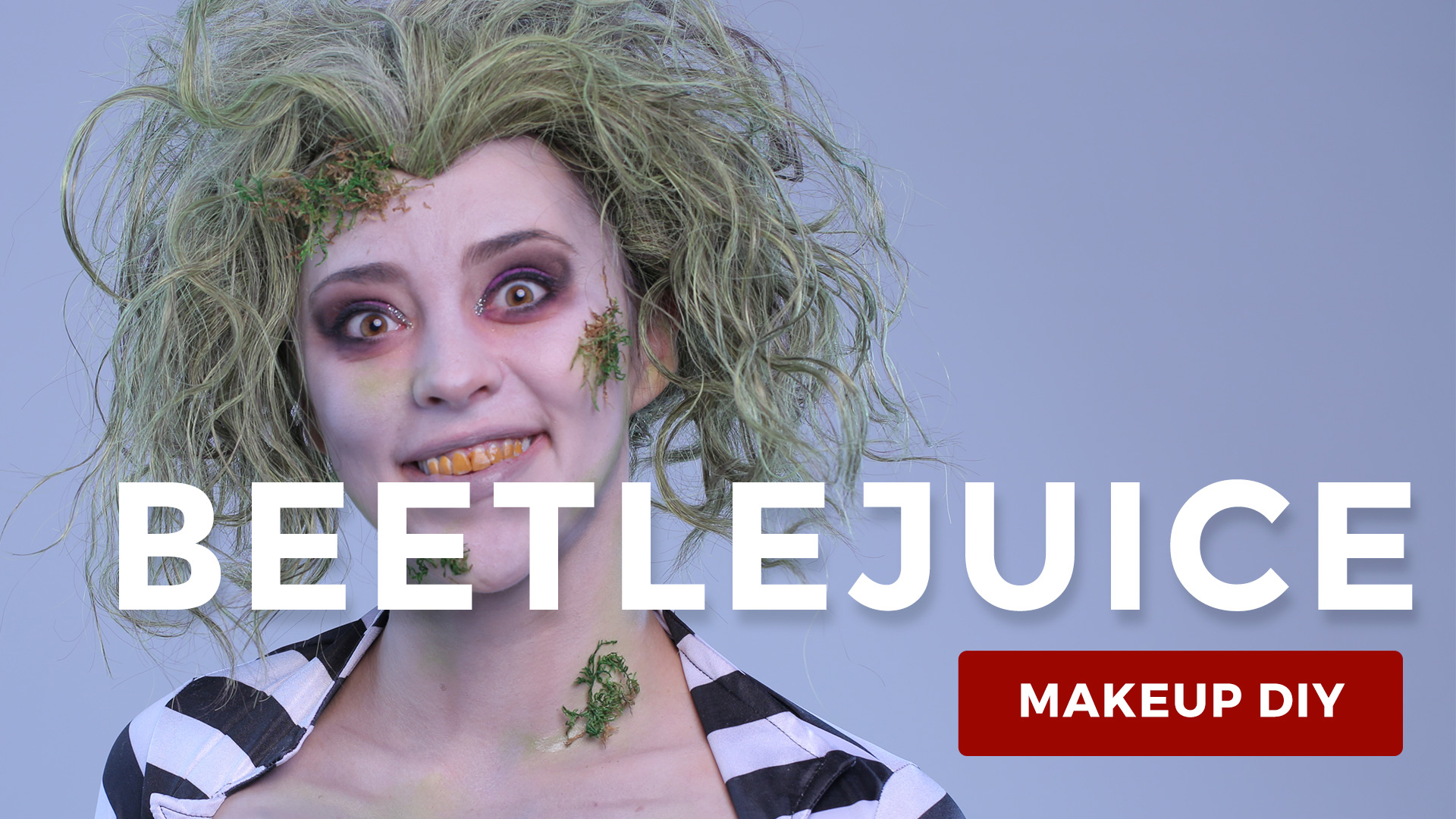 Deluxe Beetlejuice Makeup Kit.