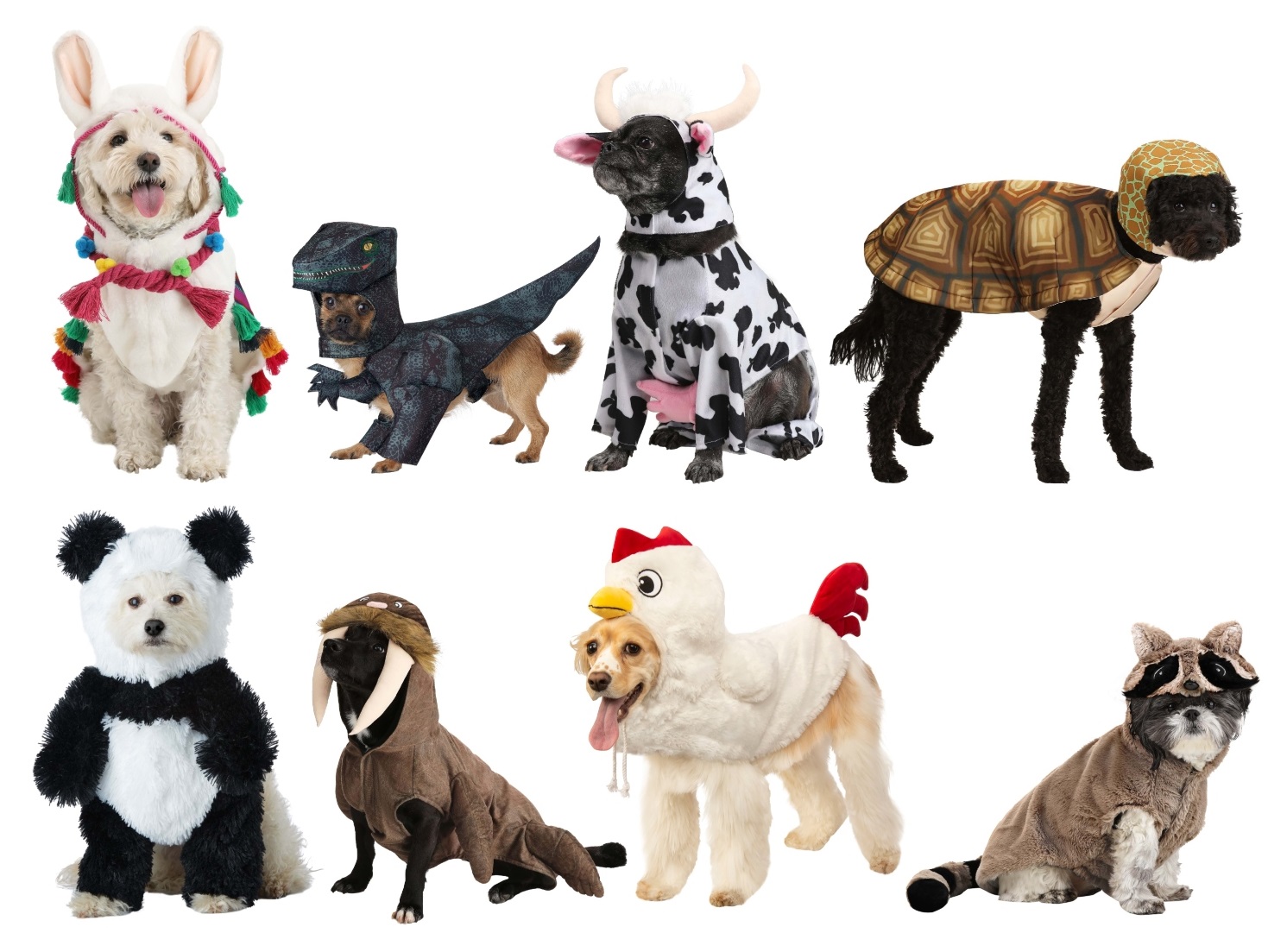 Animal Pet Costumes