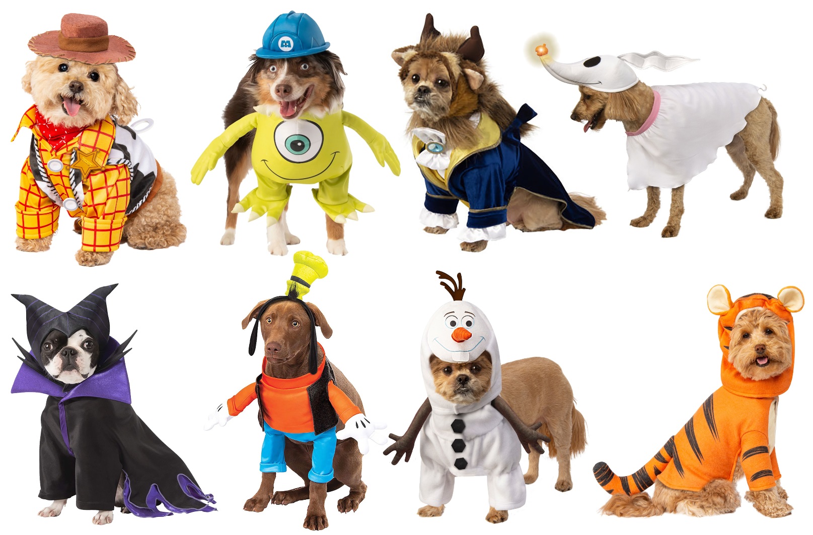 Beauty and the Beast Halloween Dog Costumes  Cute dog costumes, Disney dog  costume, Dog costumes