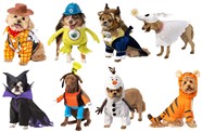 Picture Perfect Dog Costumes To Treat Your Furry Friends Costume Guide Picture Perfect Dog Costumes To Treat Your Furry Friends Costume Guide