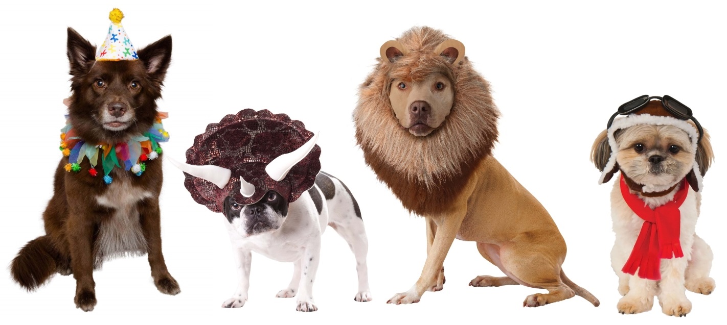 Picture Perfect Dog Costumes to Treat Your Furry Friends [Costume Guide] -   Blog