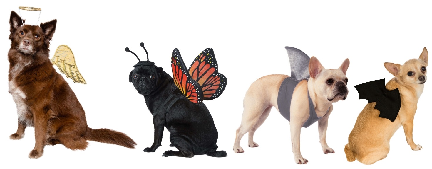 Pet Costume Wings and Accessories