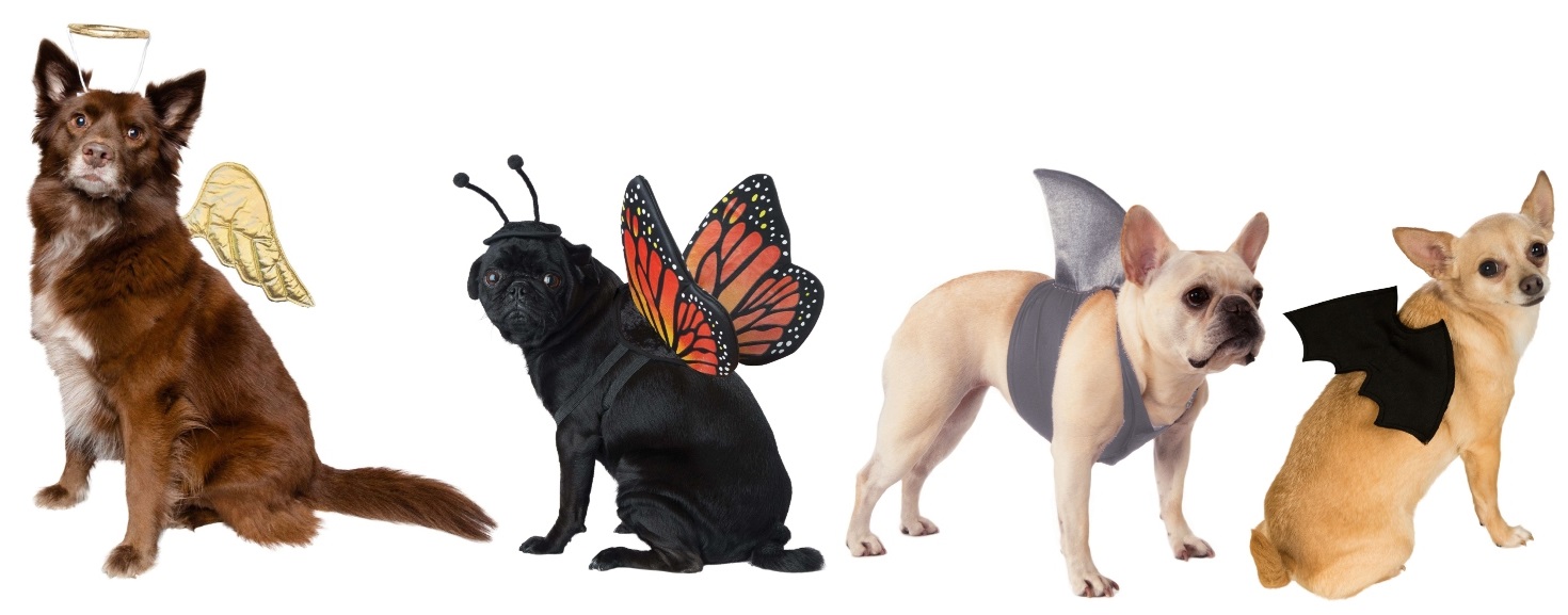 Dog Costume Wings and Accessories