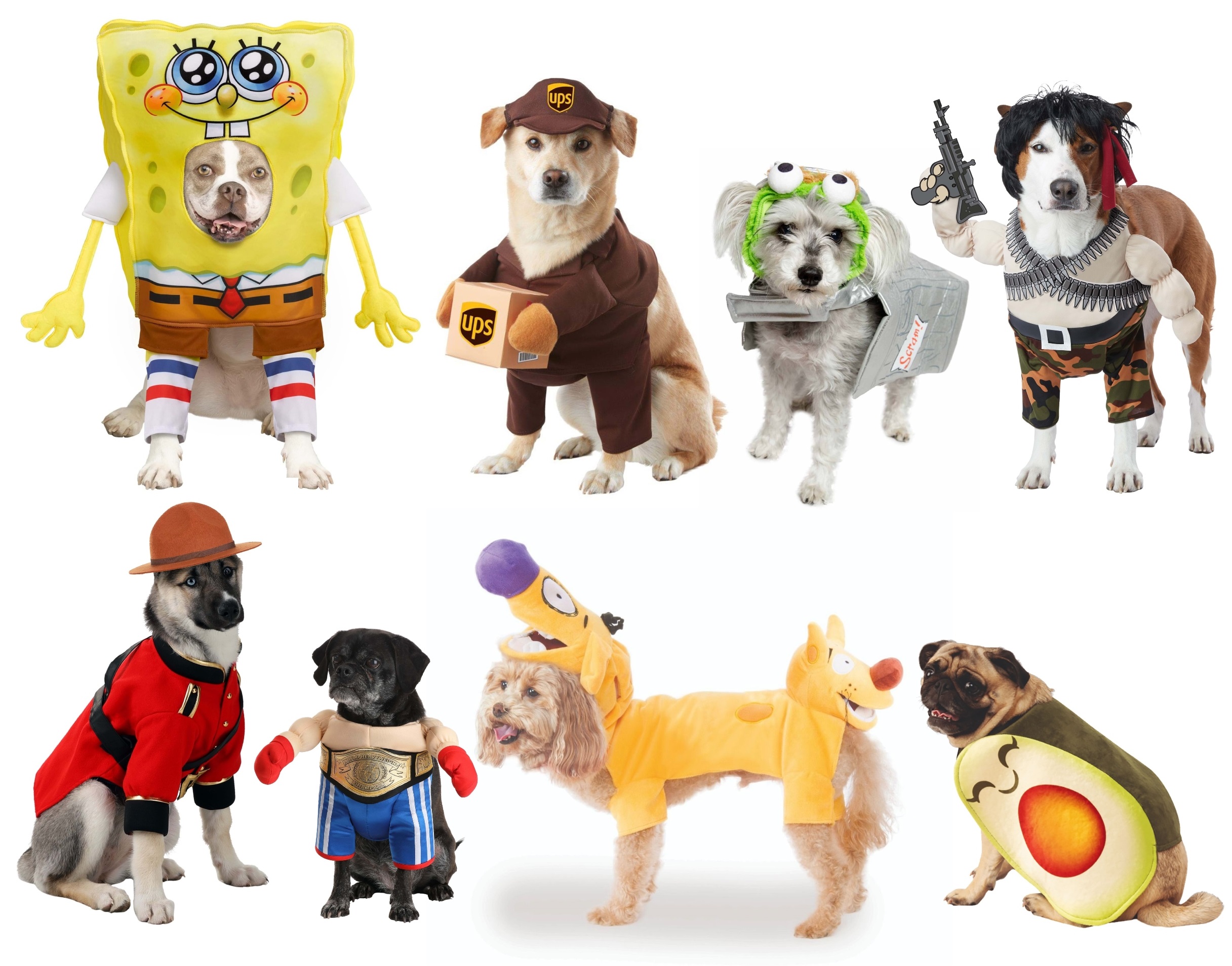 Picture Perfect Pet Costumes To Treat