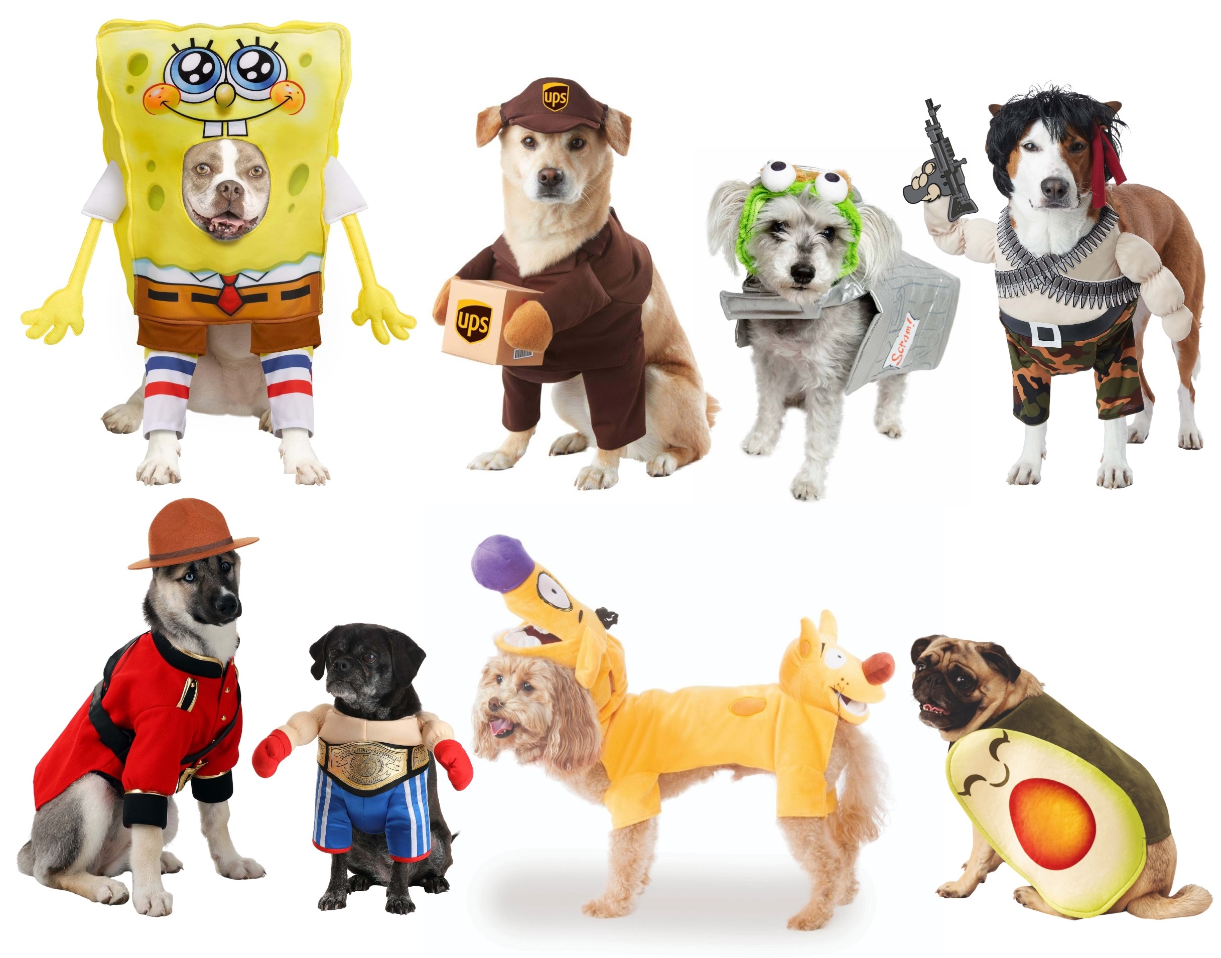 Funny Dog costumes