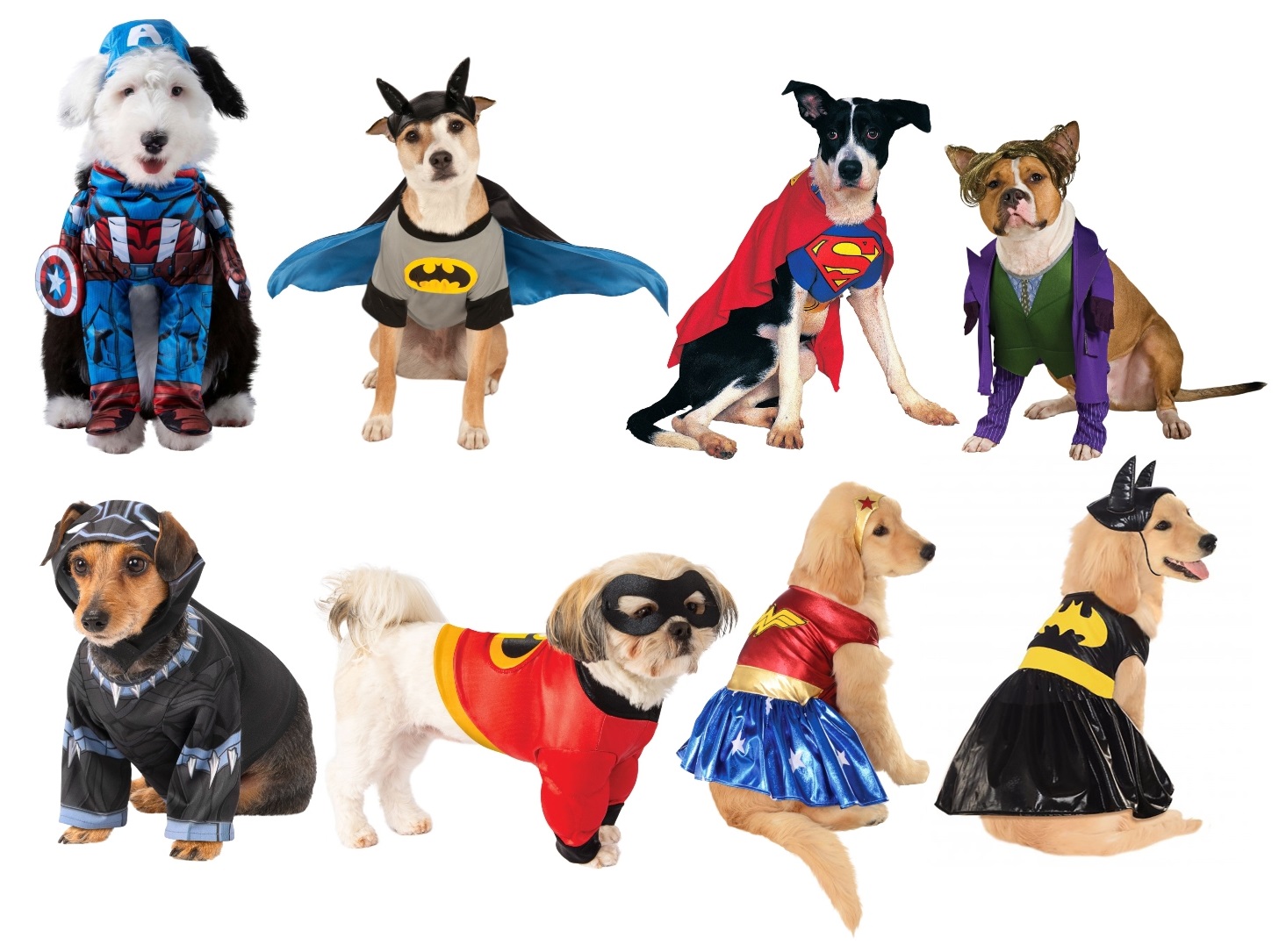 Superhero Dog Costumes