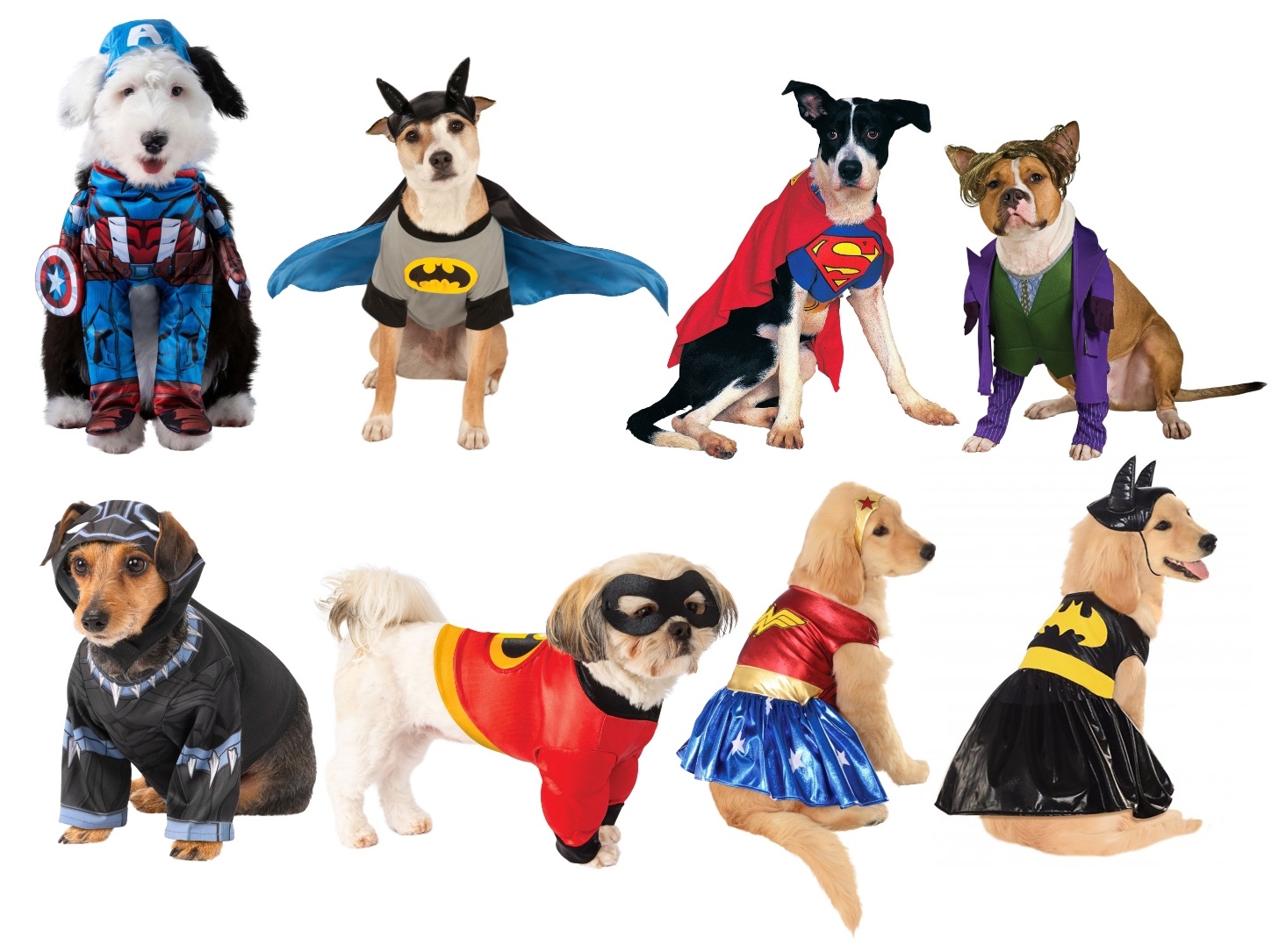 15 Dog Halloween Costumes that Are Scary Cute!, Blog