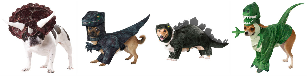 Pet Dinosaur Costumes
