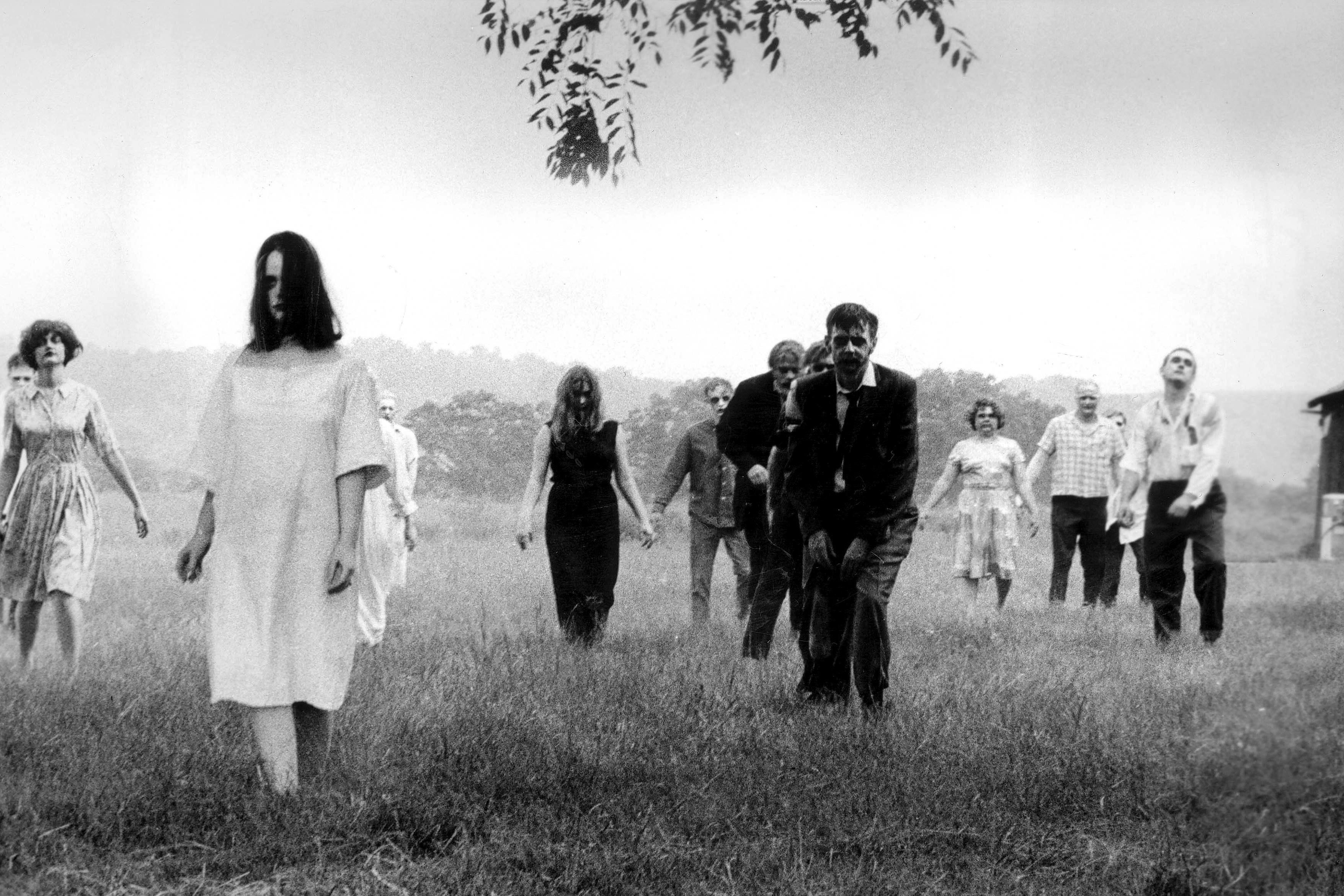 Night of the Living Dead / Dawn of the Dead Romero Zombies