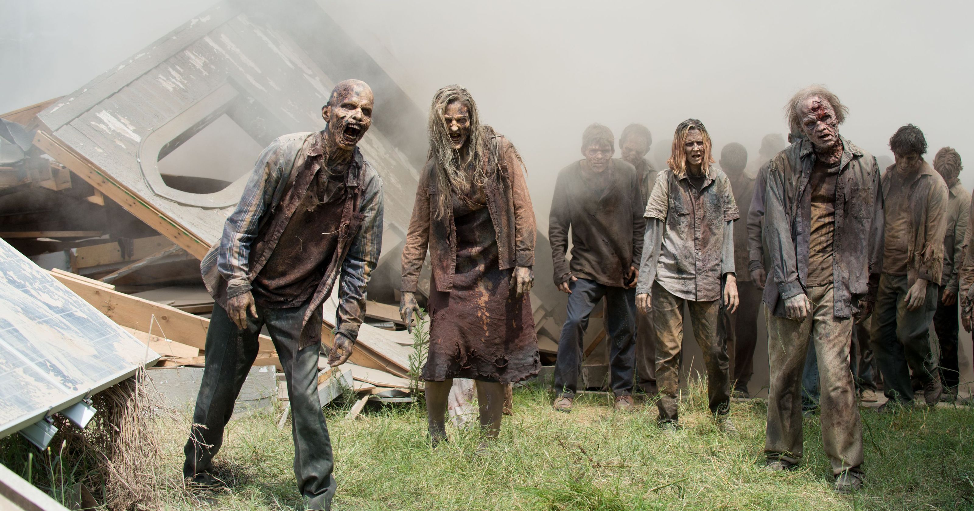 The Walking Dead Walkers