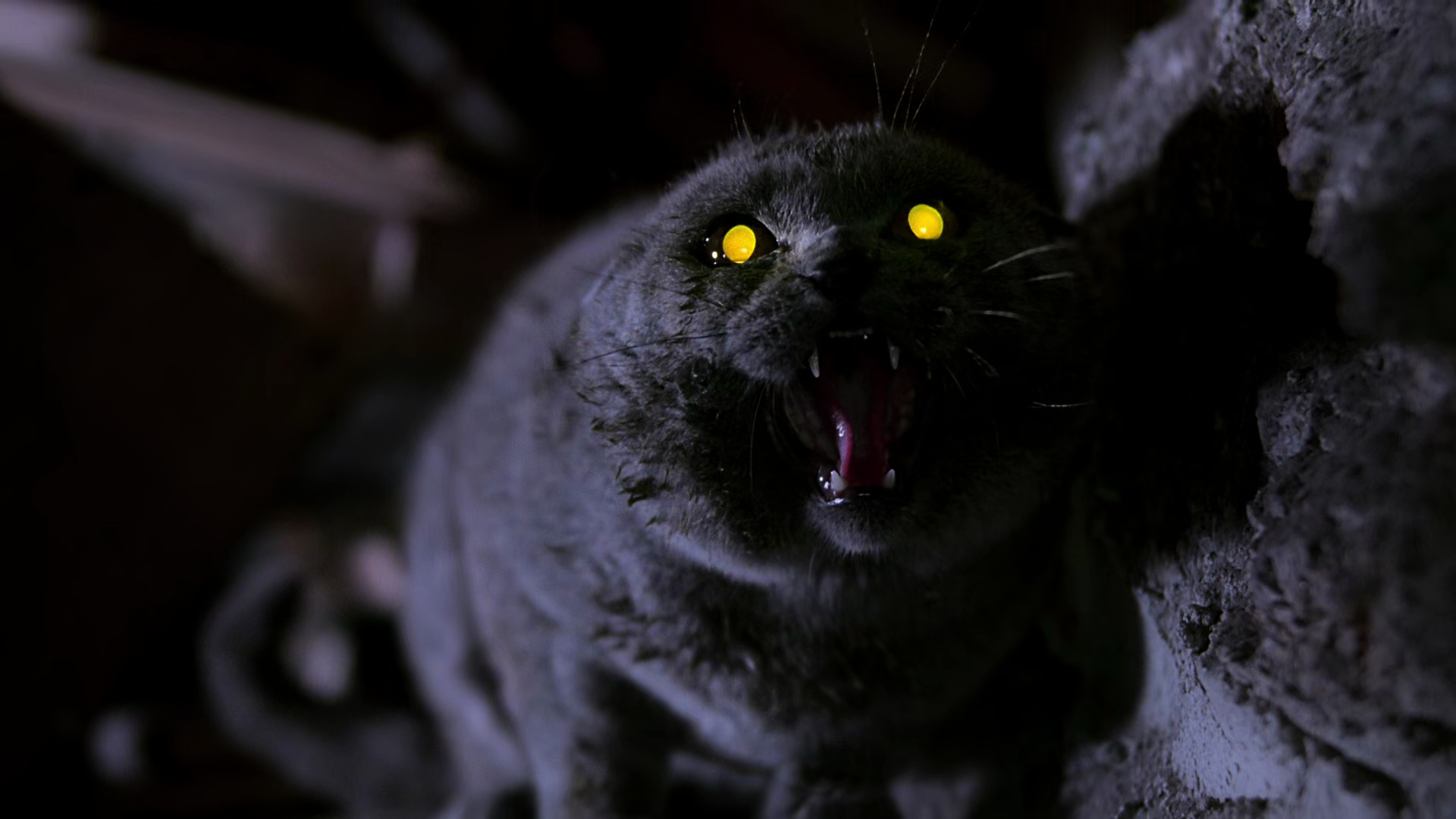 Pet Sematary