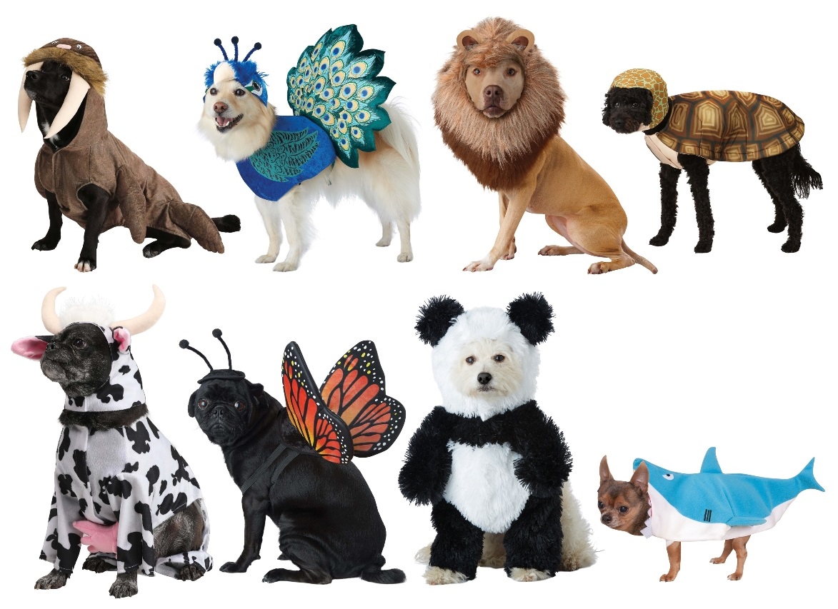 Animal Pet Costumes
