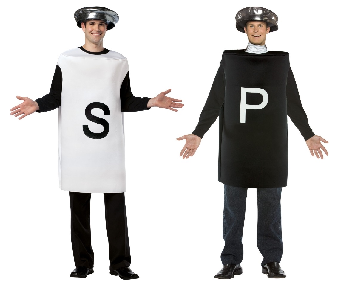 Salt and Pepper Couples Costumes