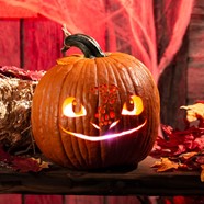 How To Train Your Dragon Pumpkin Carving Mocilq