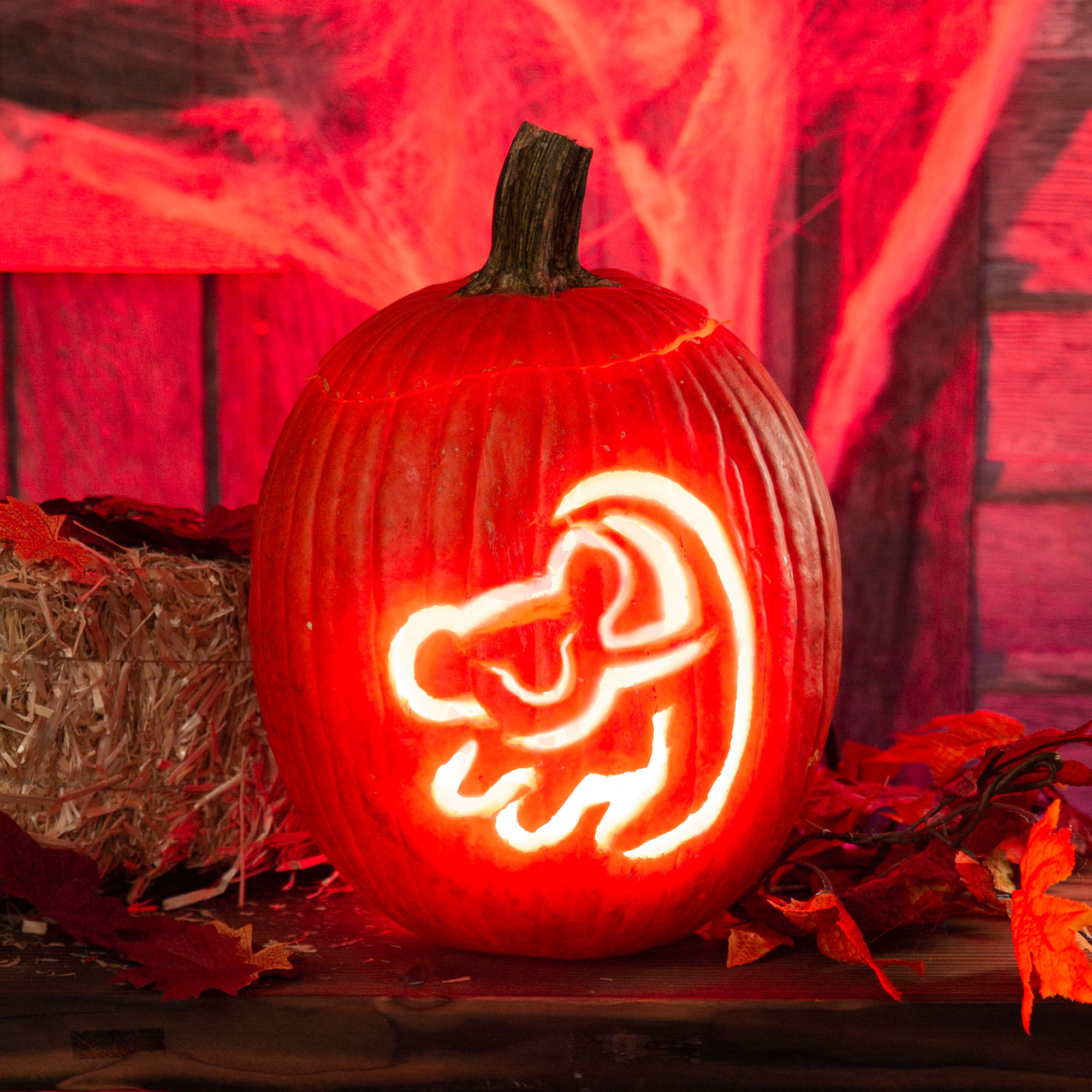 The Lion King Pumpkin Design