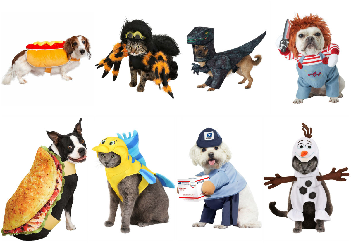 Trending Halloween Costumes for Pets in 2023