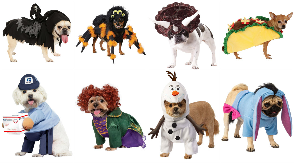 Trending Halloween Costumes for Pets in 2024