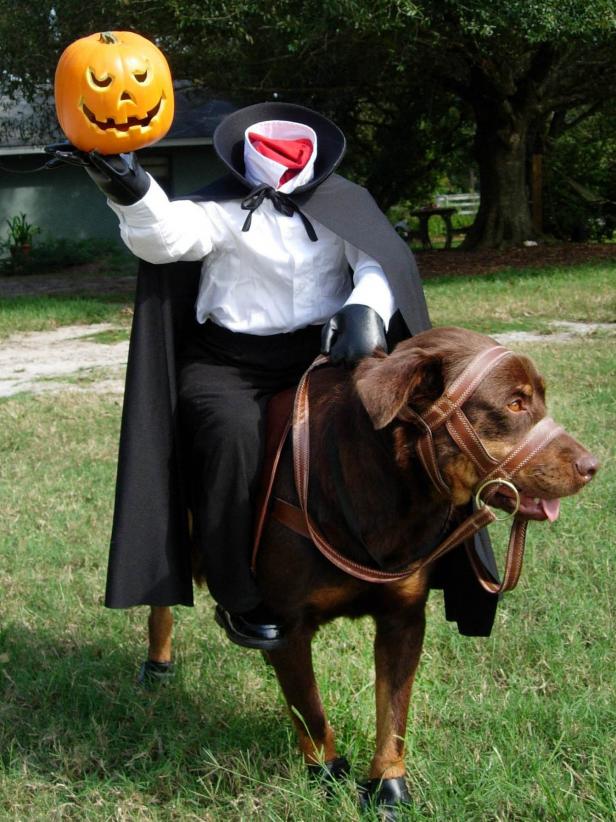 Headless Horseman Dog Costume DIY