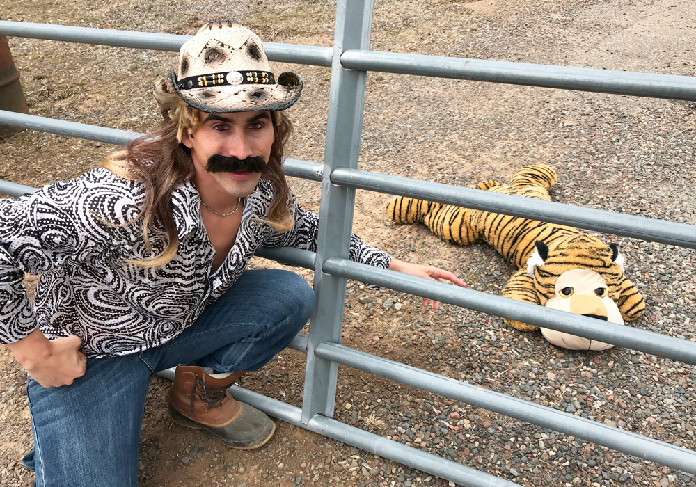 Pose With a Tiger
