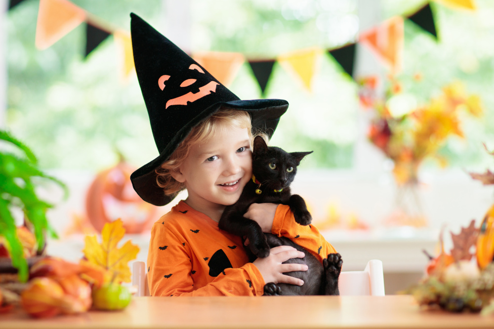 Cat and Child Halloween Photo