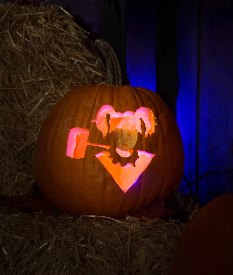 Harley Quinn Pumpkin