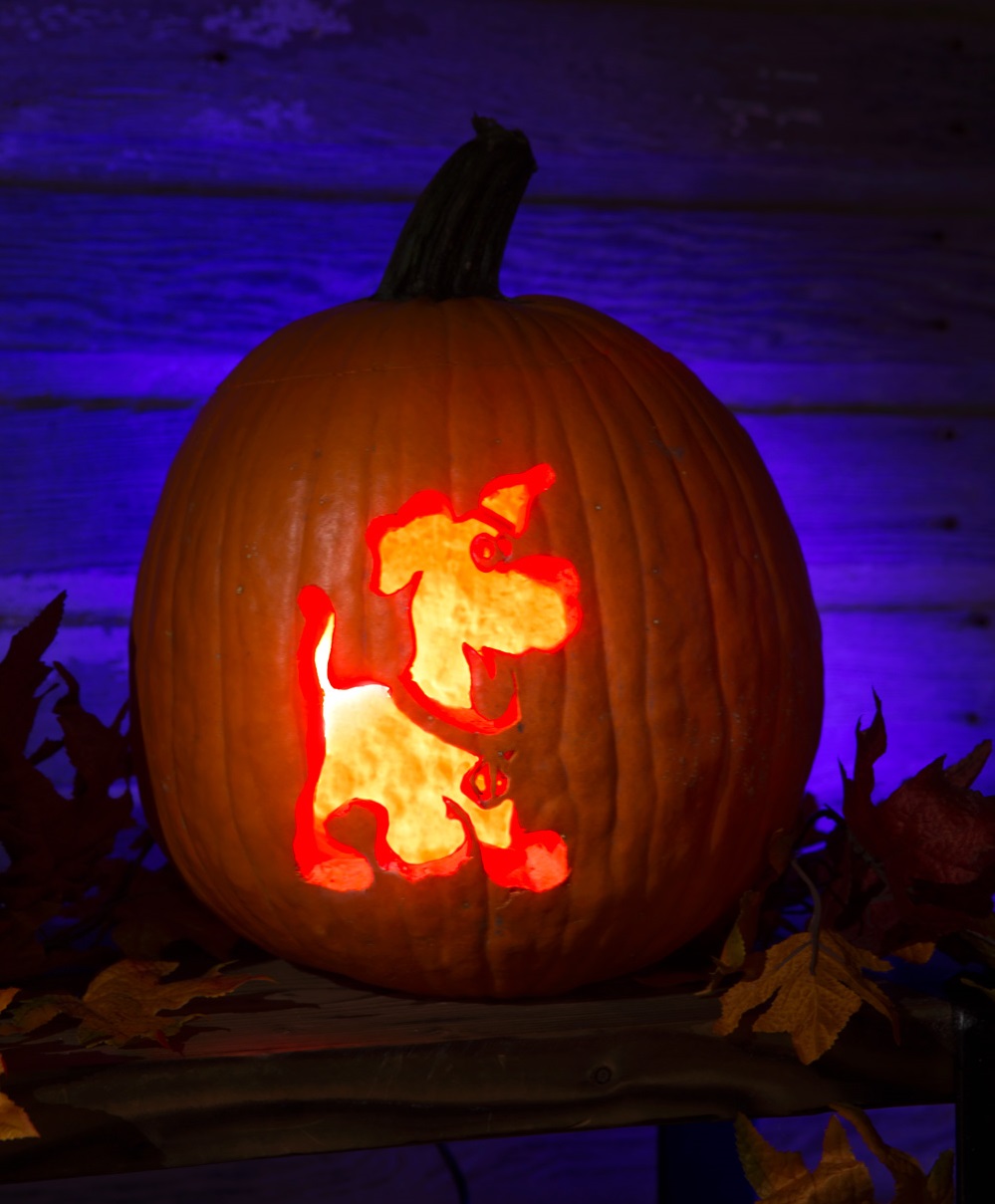 Puppy Scooby-Doo Pumpkin