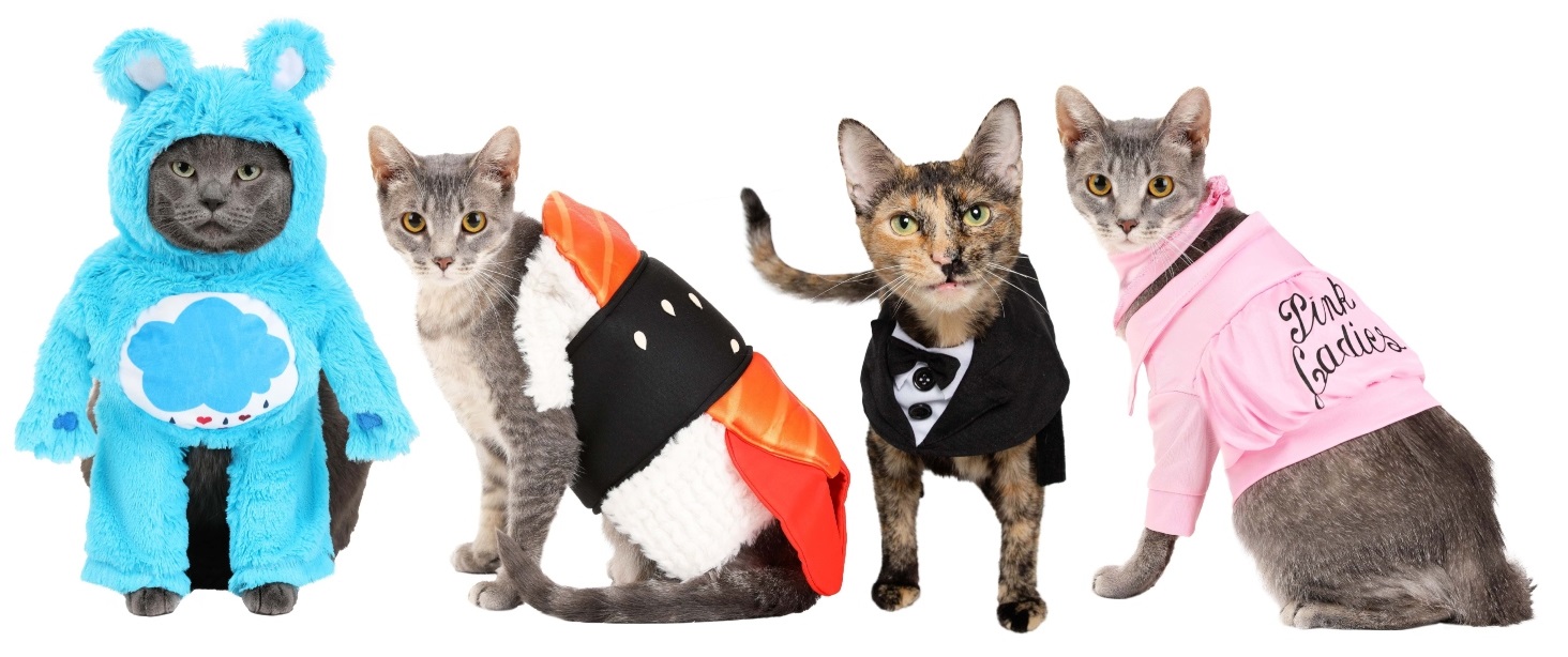 Cute Cat Costumes